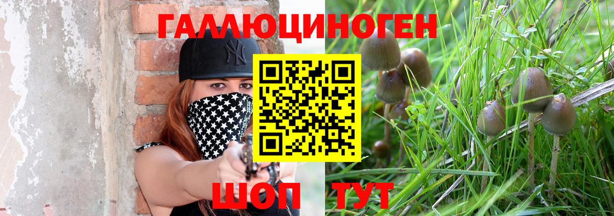 Шали  Псилоцибиновые грибы GOLDEN TEACHER  Вход с VPN 