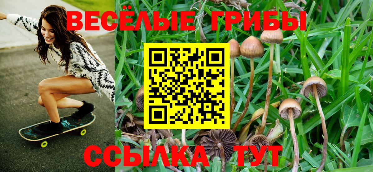 Псилоцибиновые грибы Psilocybine cubensis Шали